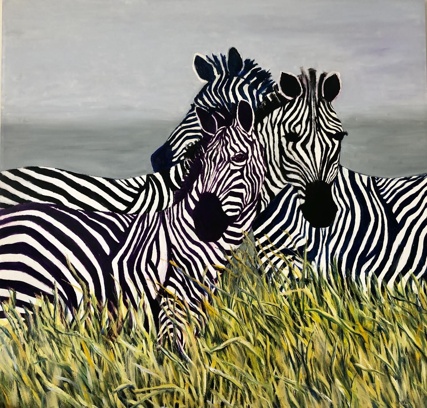 Zebras (80 x 80 cm Oil)