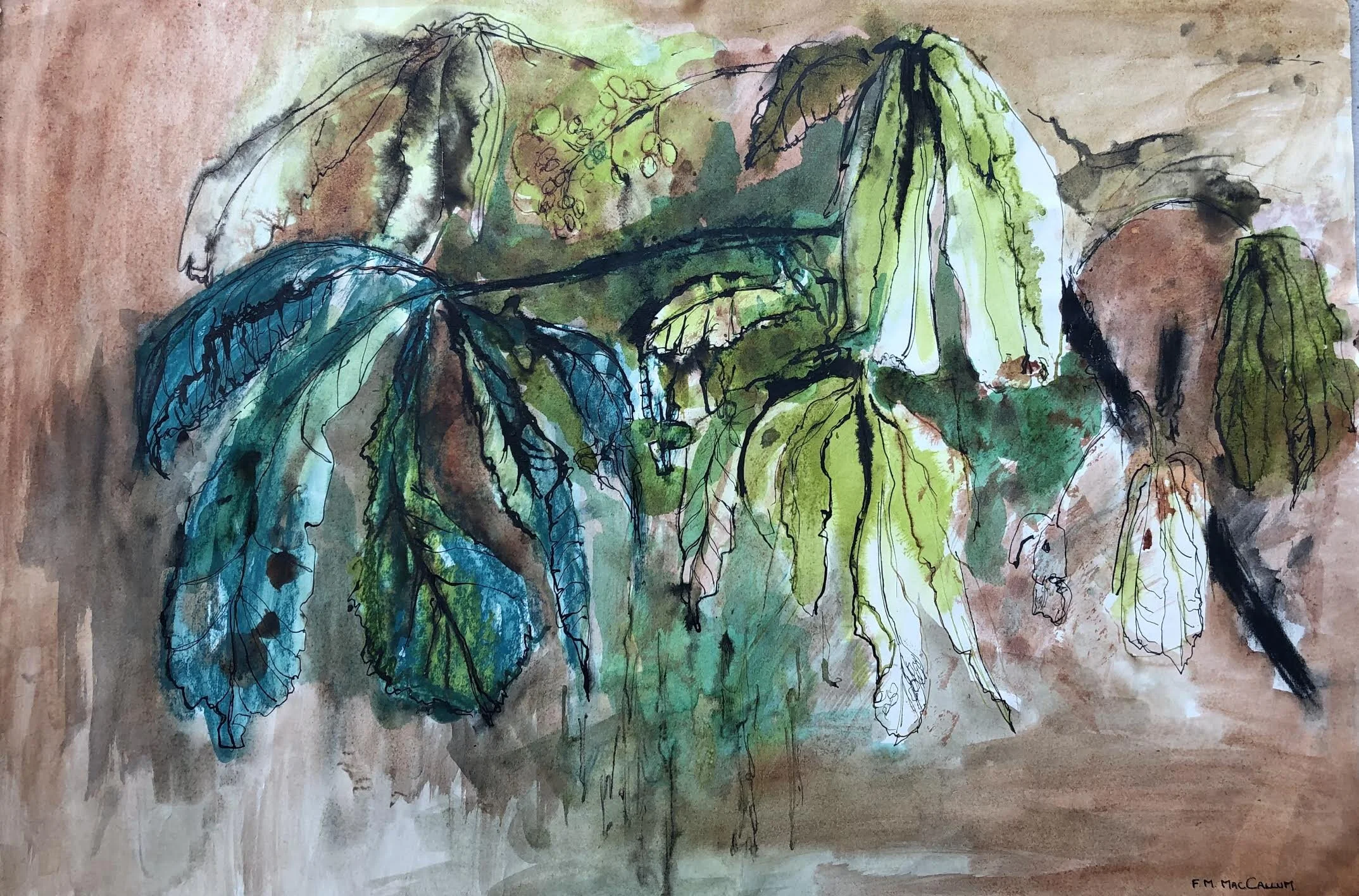 Horse Chestnut (38 x 56 cm China)