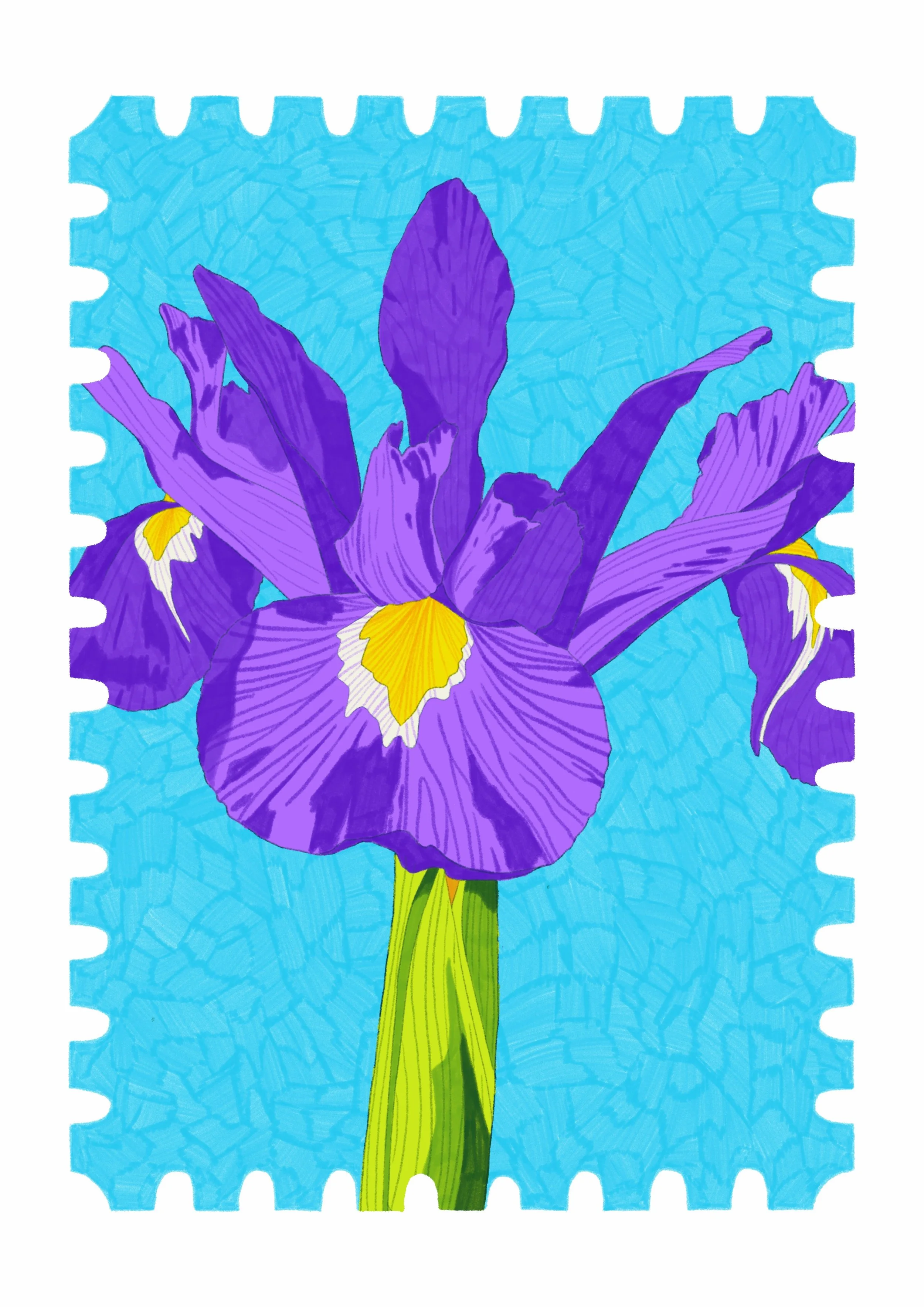 Jamie Iris Postcard.JPG