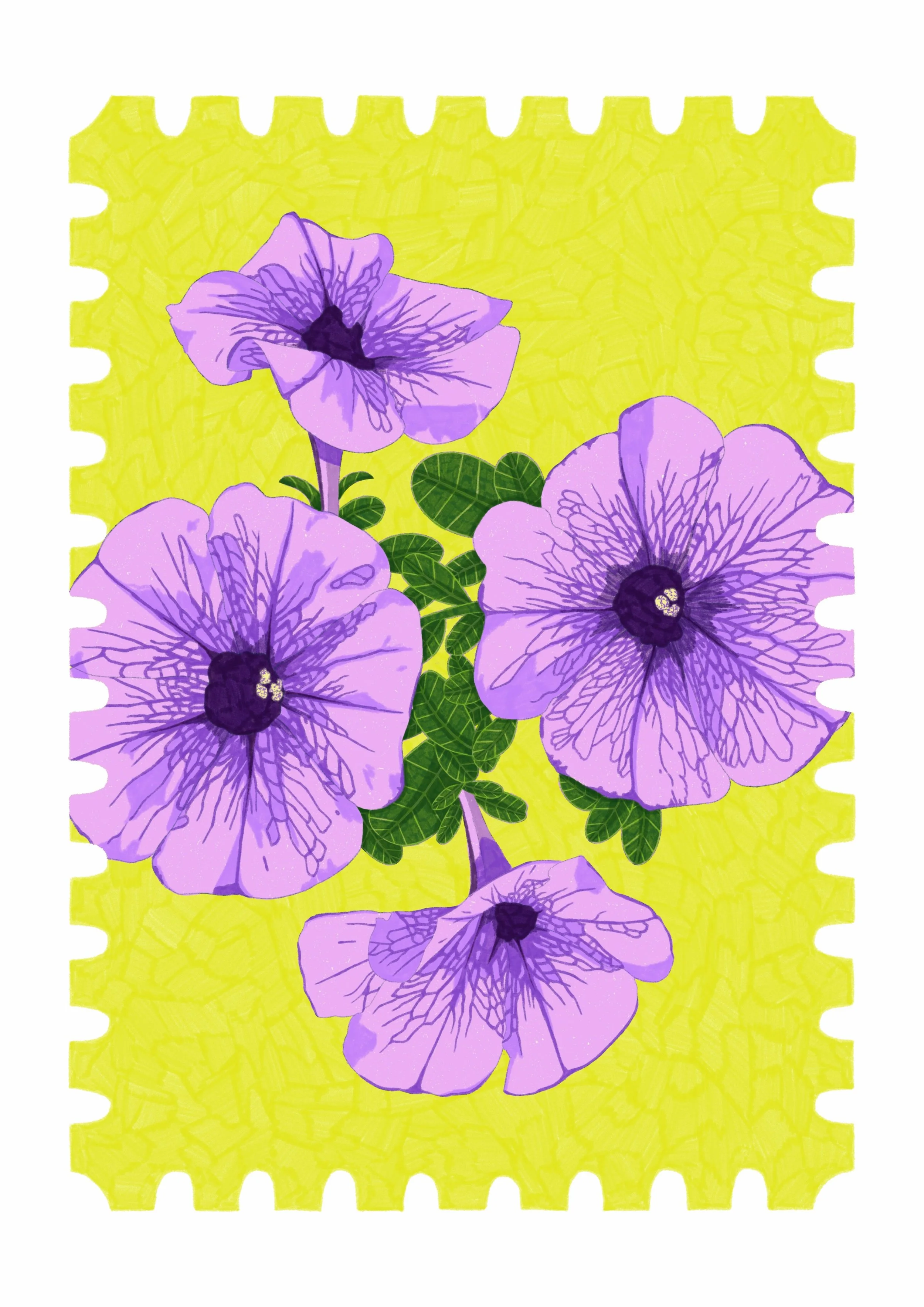 Jamie Petunia Postcard.JPG