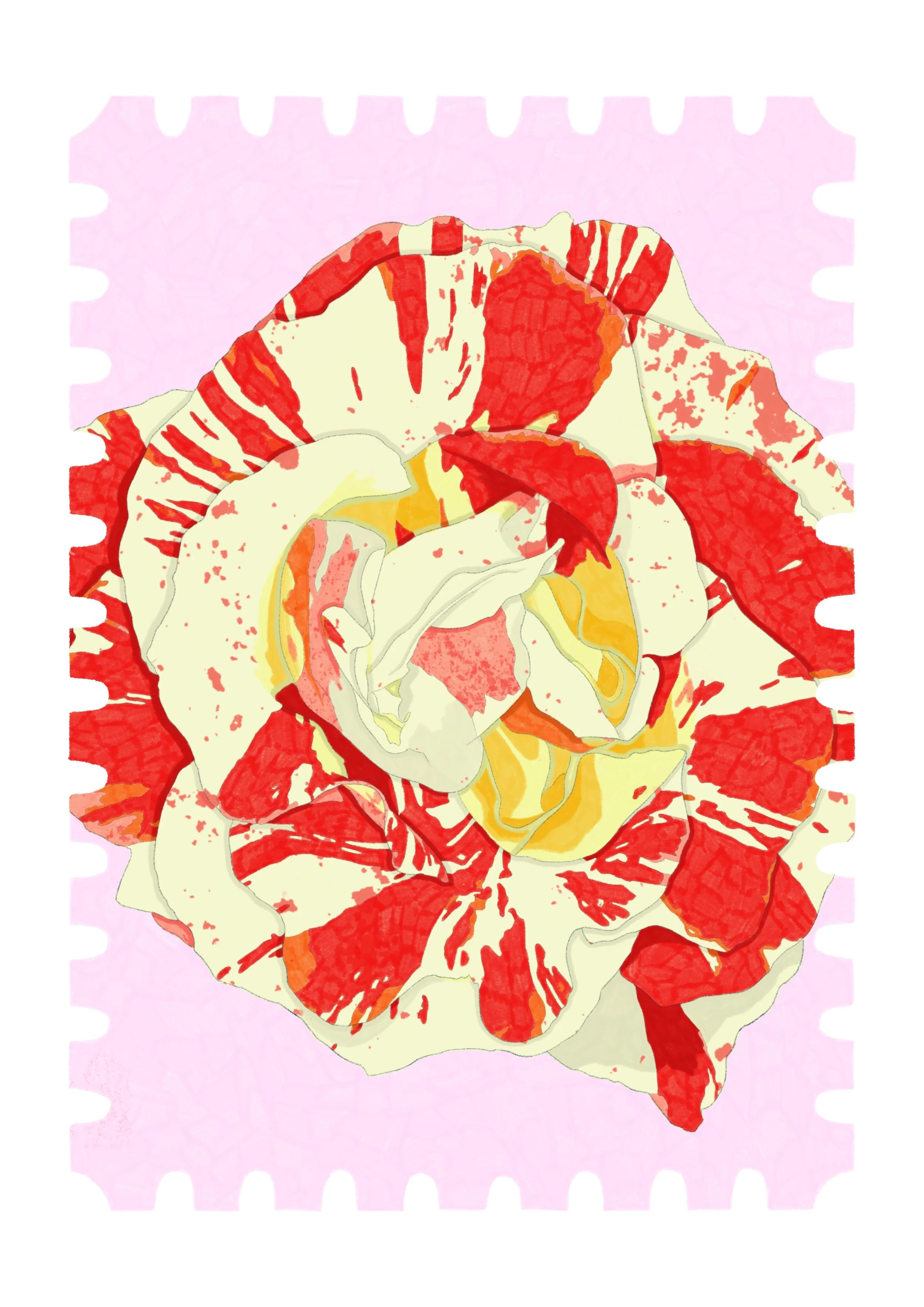 Jamie Baldrick Rose.JPG