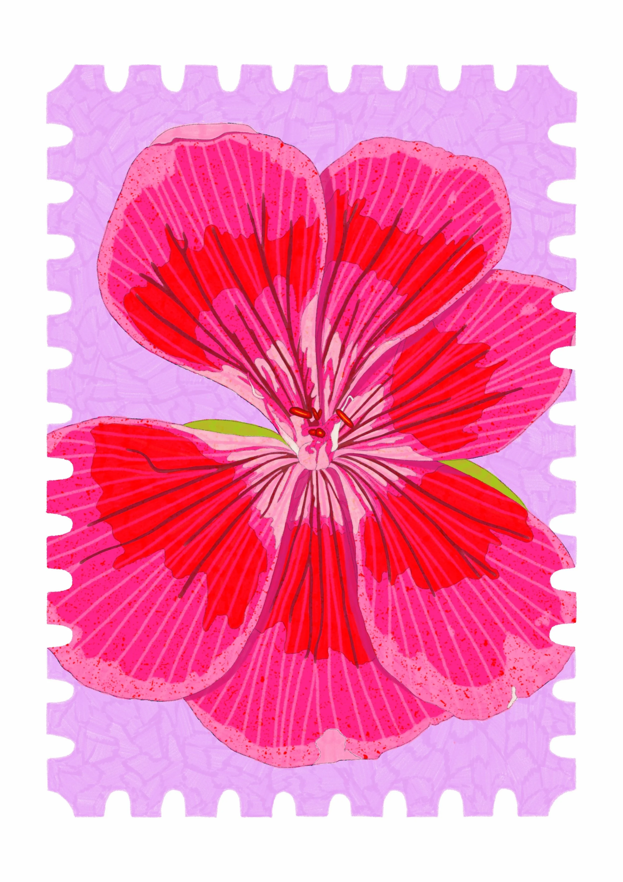 Jamie Baldrick Geranium.JPG