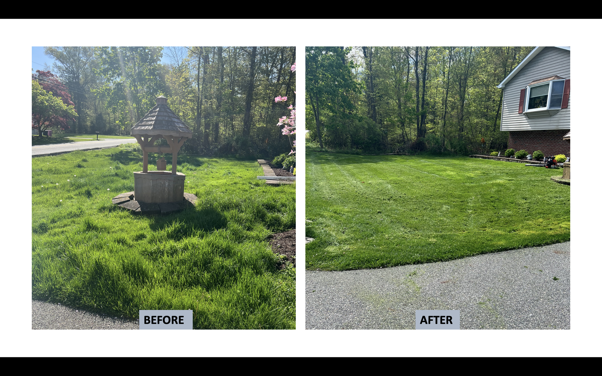 Grass cut.png