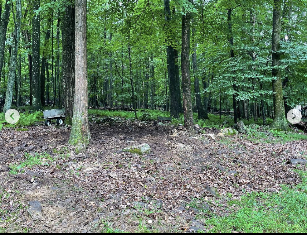 Screenshot 2024-03-25 at 9.01.22 PM.png