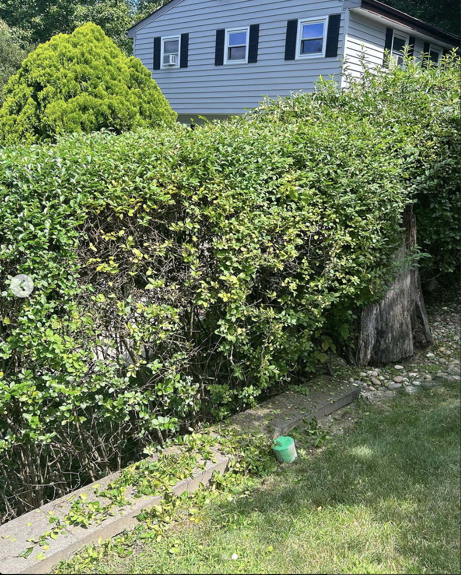 Screenshot 2024-03-25 at 9.02.10 PM.png