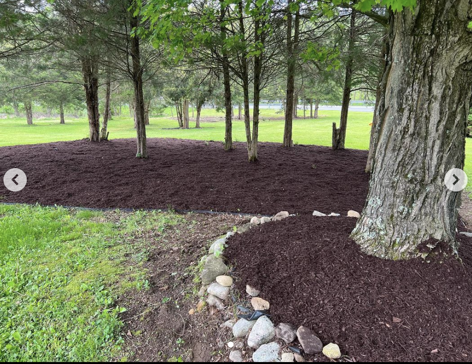 Screenshot 2024-03-25 at 9.19.56 PM.png