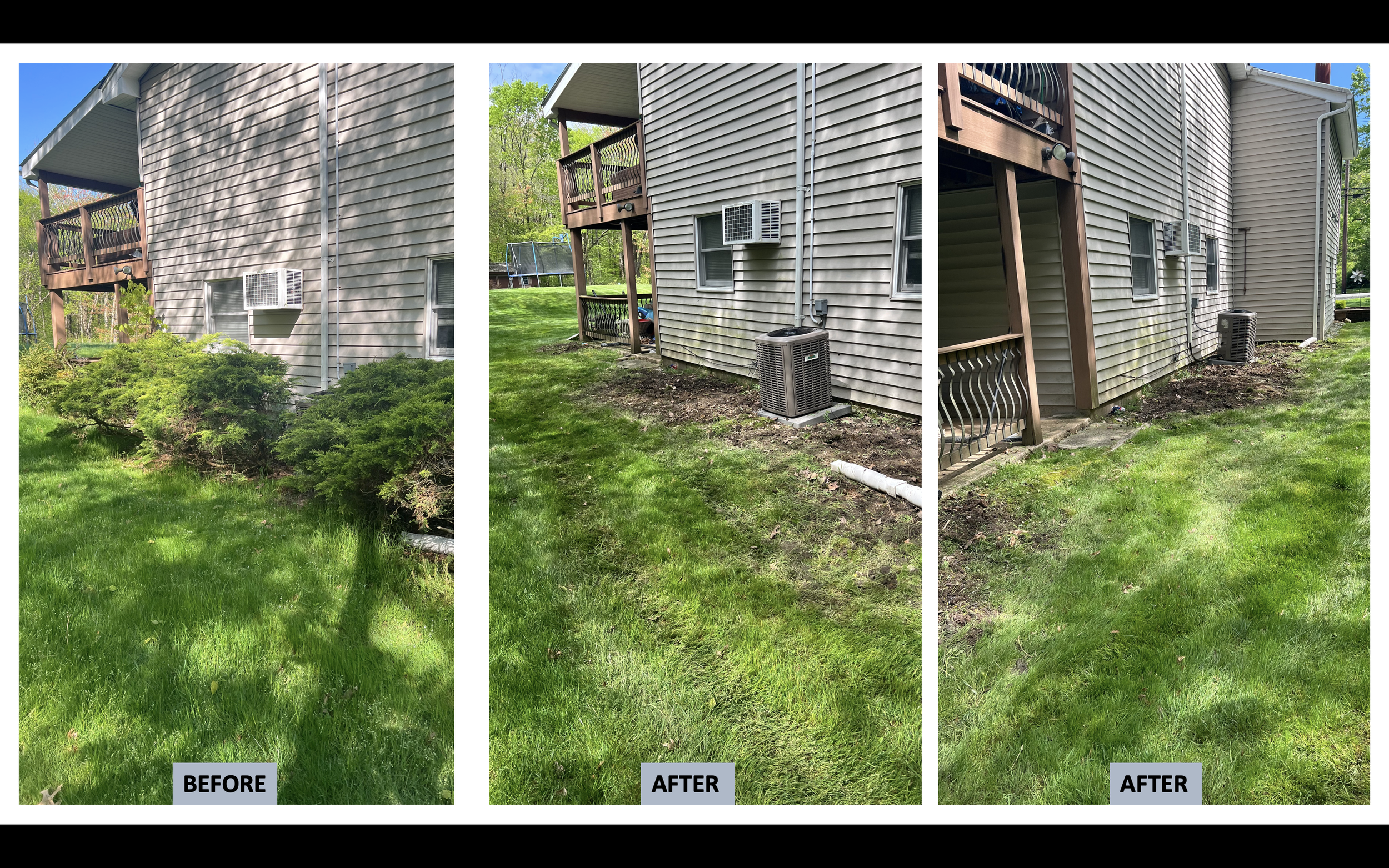 Bush Removal Before and after  2.50.31 PM.png