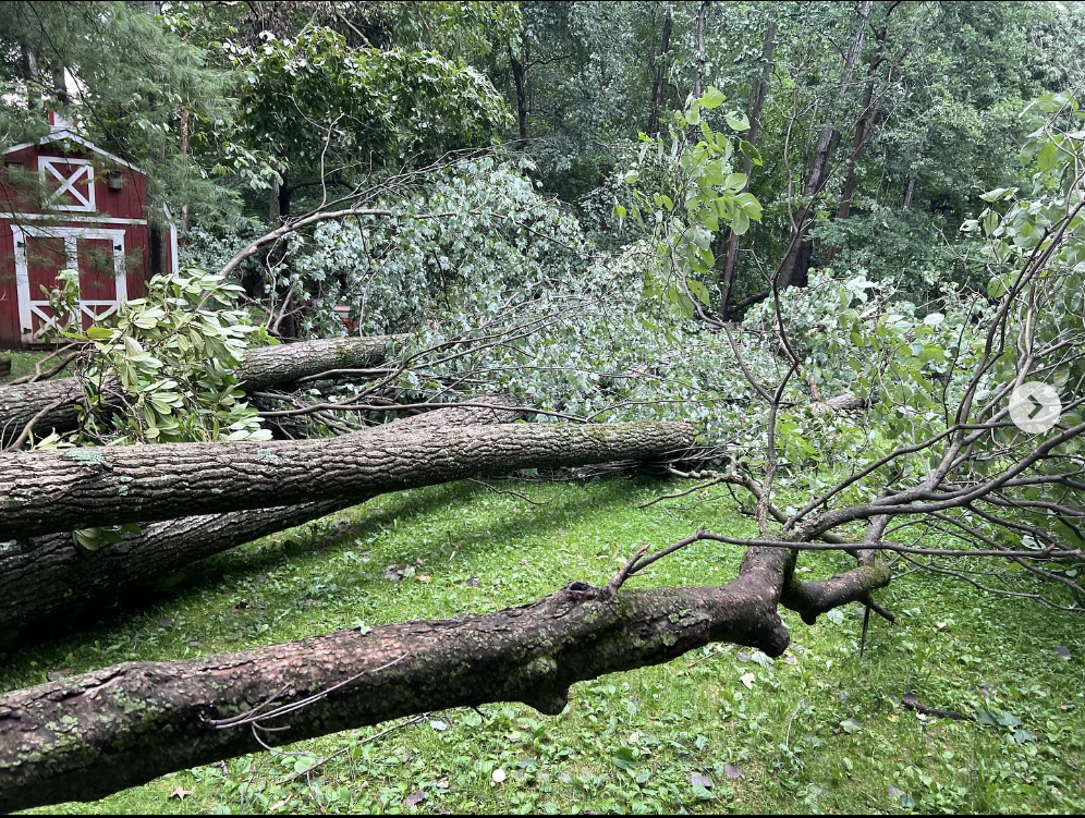 Screenshot 2024-03-25 at 9.06.35 PM.png