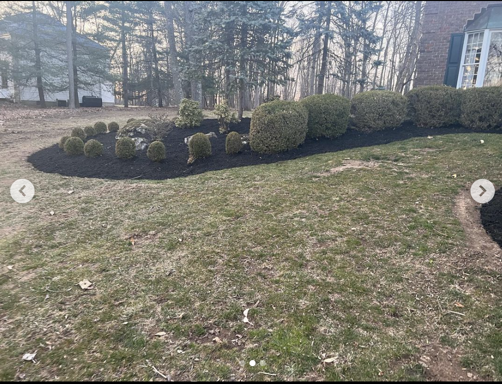 Screenshot 2024-03-25 at 9.14.13 PM.png