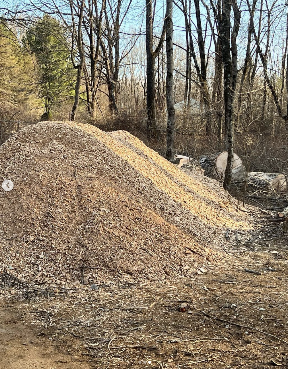 Screenshot 2024-03-25 at 9.24.39 PM.png