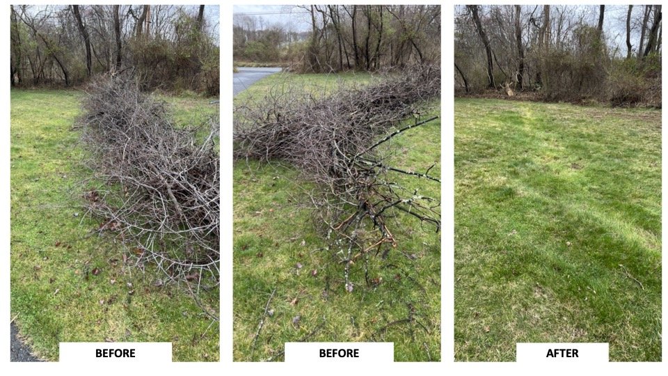 Brush Clearing 042824.jpg