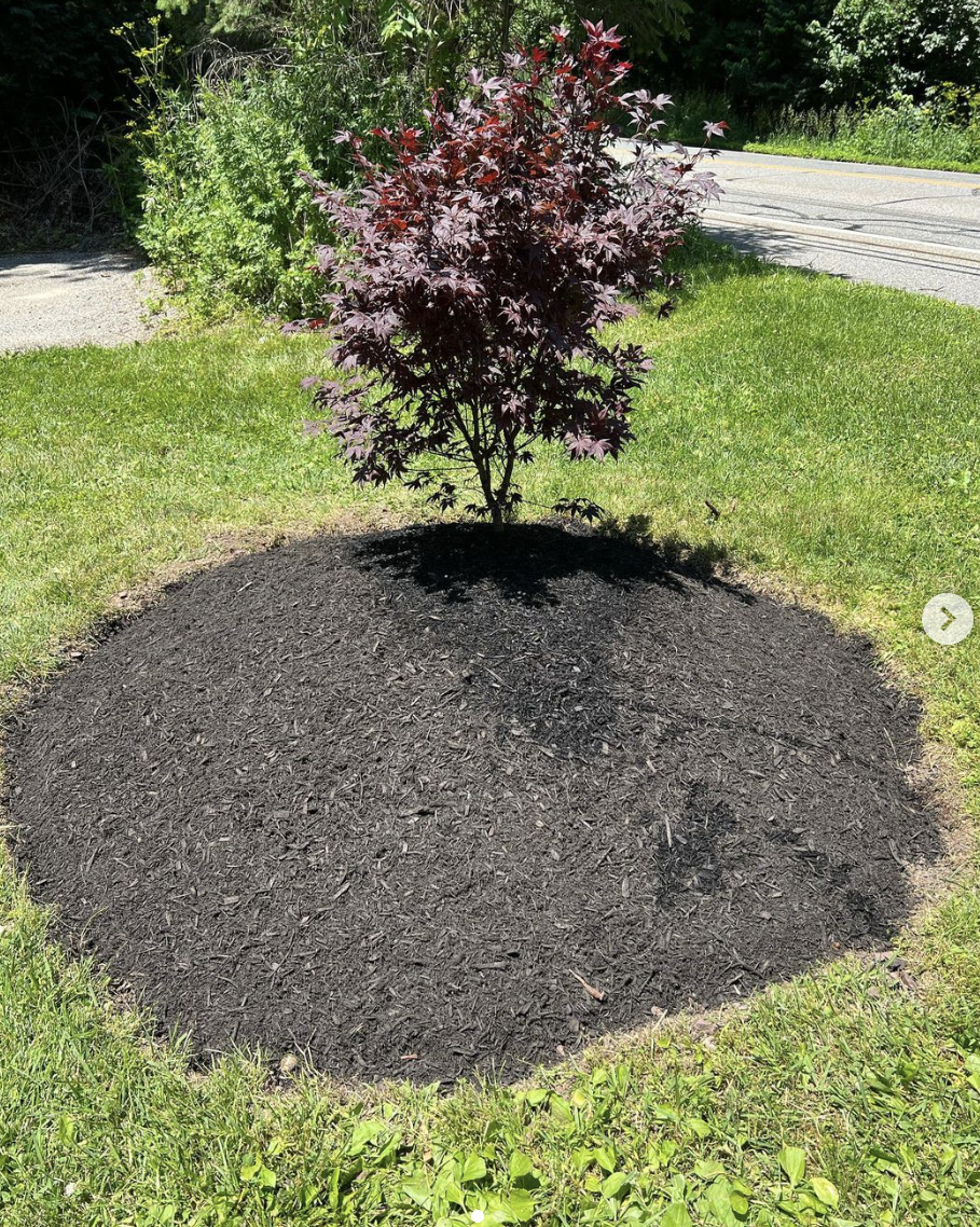 Screenshot 2024-03-25 at 9.19.12 PM.png