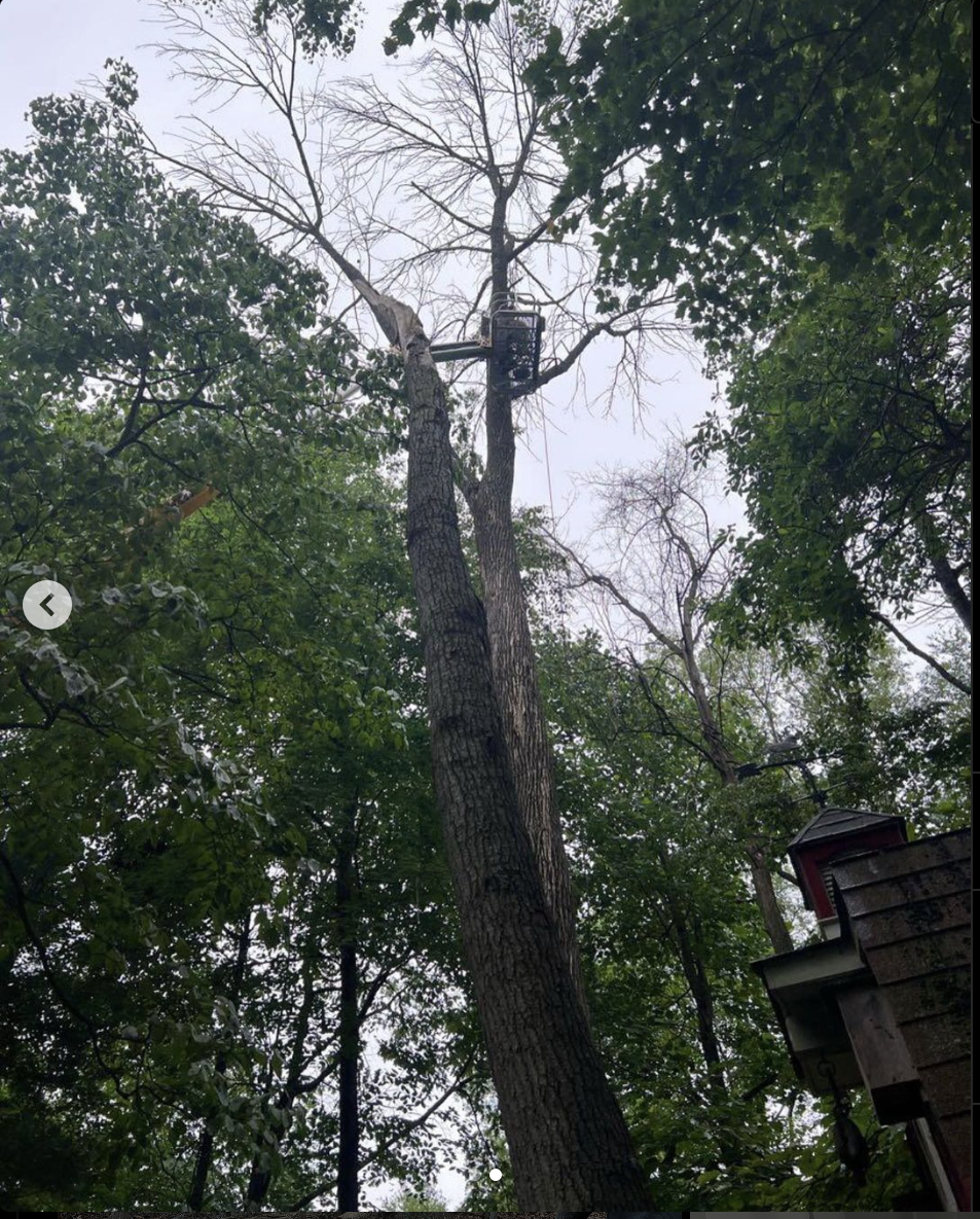 Screenshot 2024-03-25 at 9.05.16 PM.png