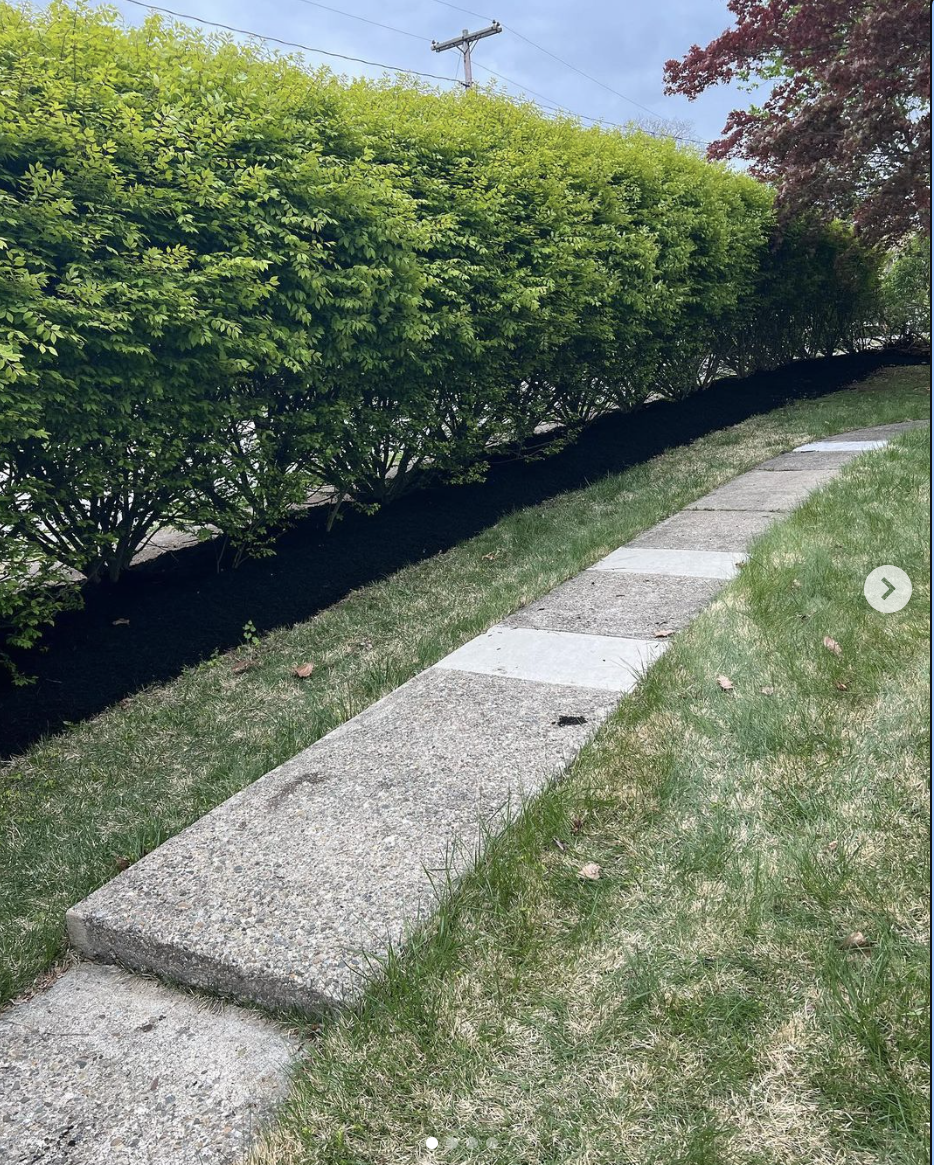 Screenshot 2024-03-25 at 9.12.03 PM.png