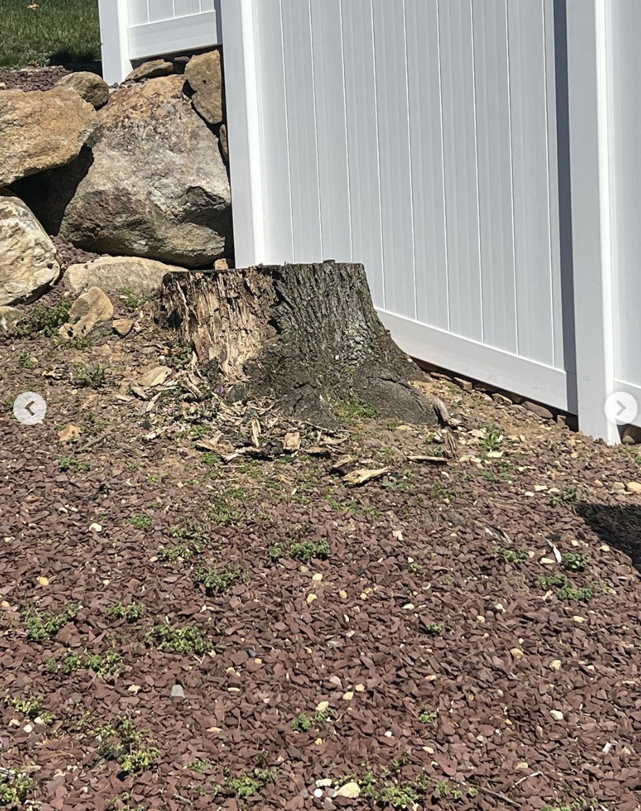 Screenshot 2024-03-25 at 9.12.49 PM.png