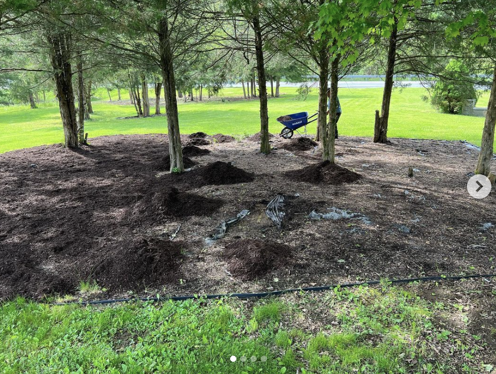 Screenshot 2024-03-25 at 9.19.52 PM.png