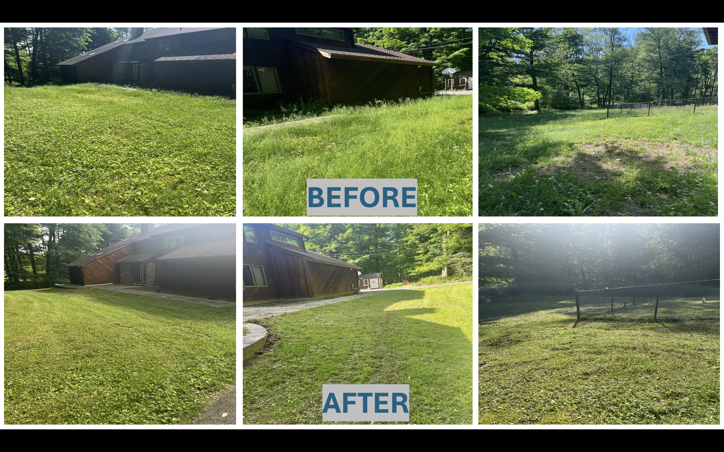 Lawn Cut Before and After.png