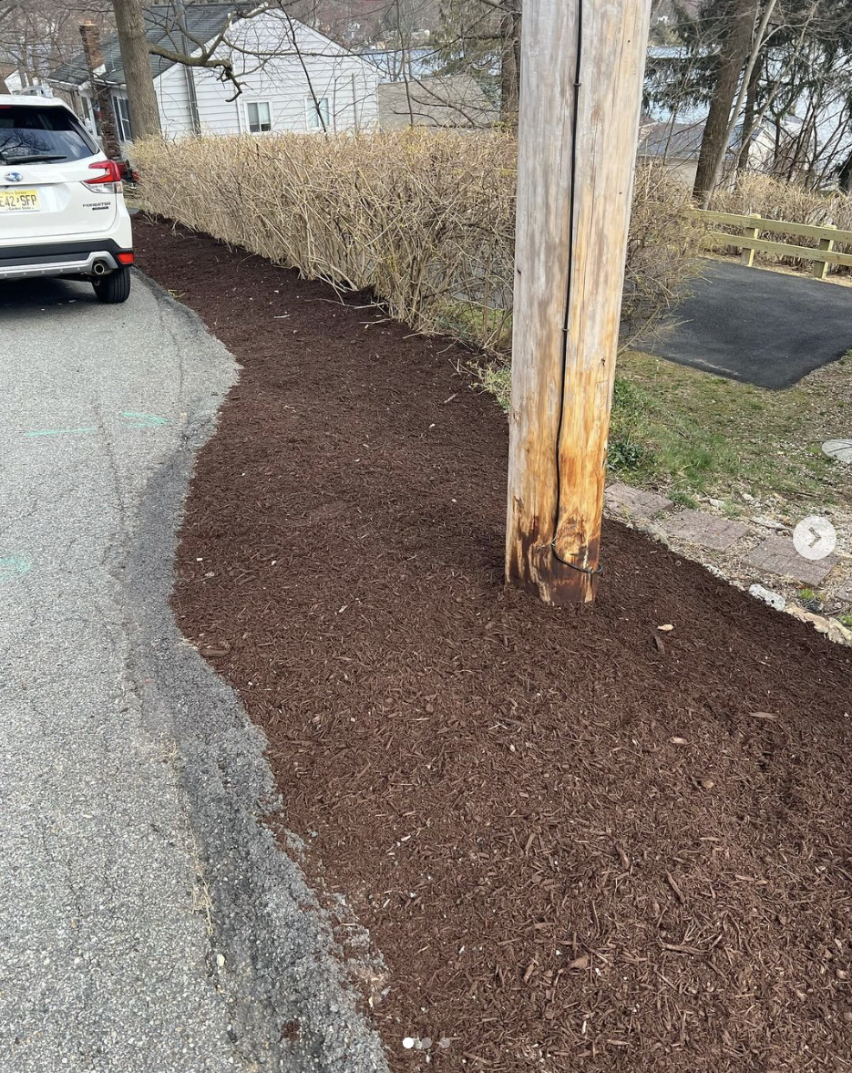 Screenshot 2024-03-25 at 8.55.16 PM.png