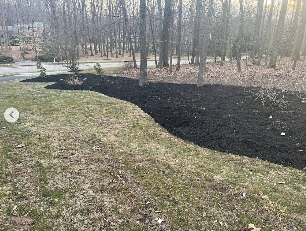 Screenshot 2024-03-25 at 9.14.23 PM.png