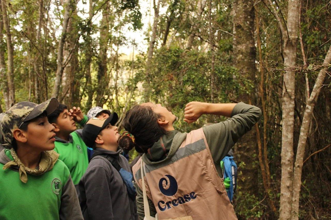 WhatsApp Image 2023-12-12 at 13.29.48.jpeg