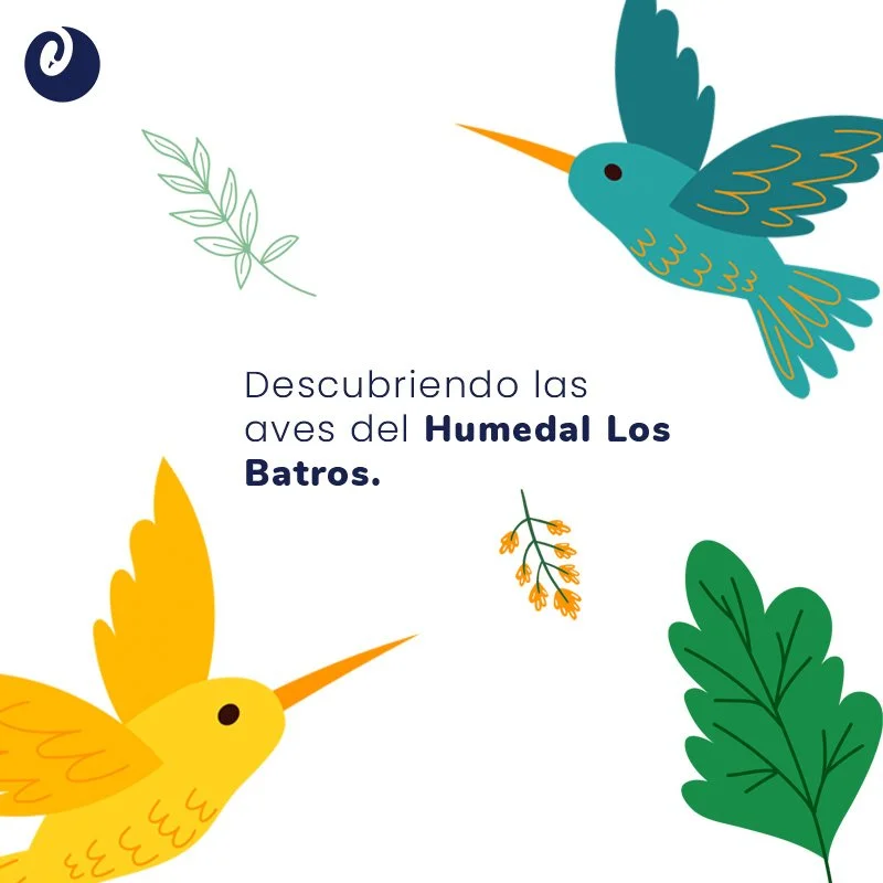 Humedal Los BAtros.jpg
