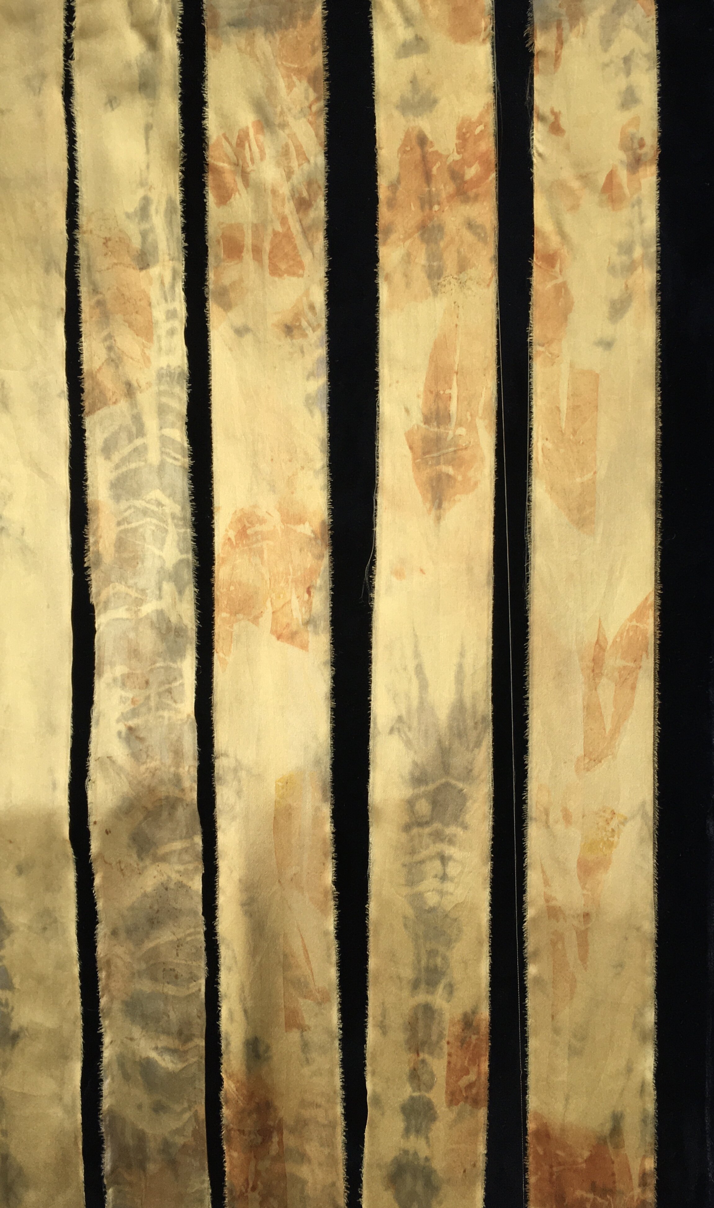 D72417E8-EAED-4135-B984-5435A8027B68_1_201_a.jpeg