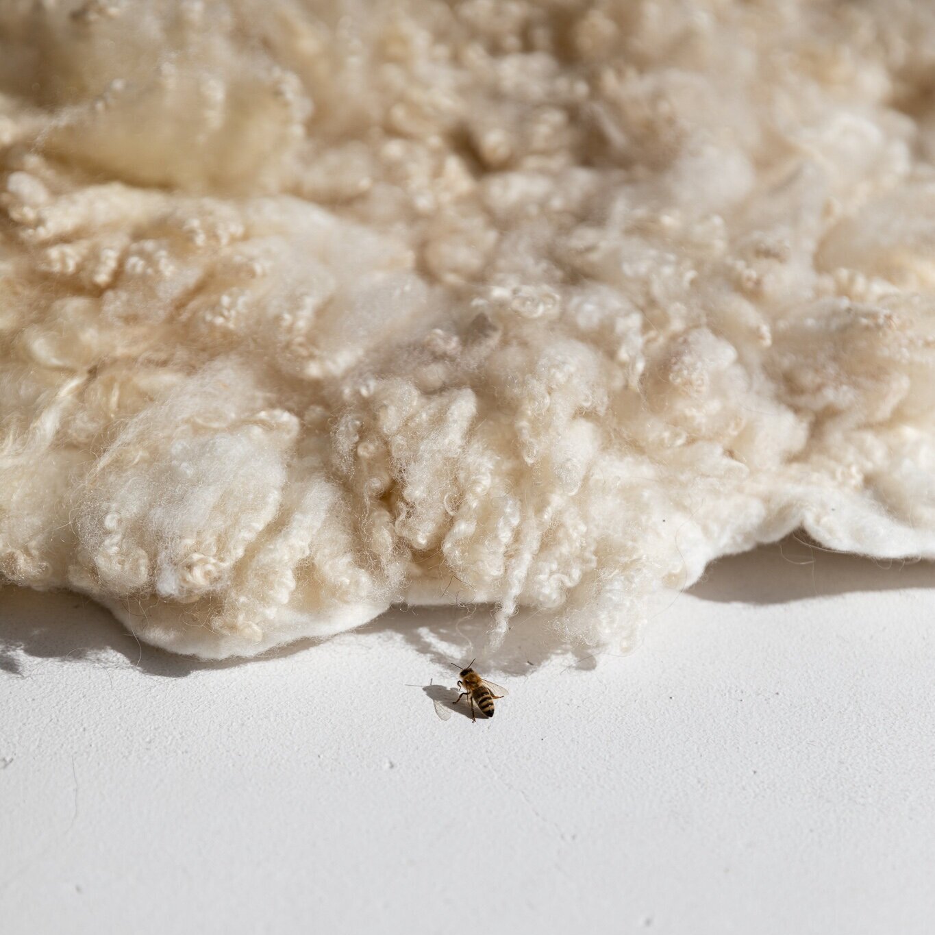kristina_shearling-8.jpg
