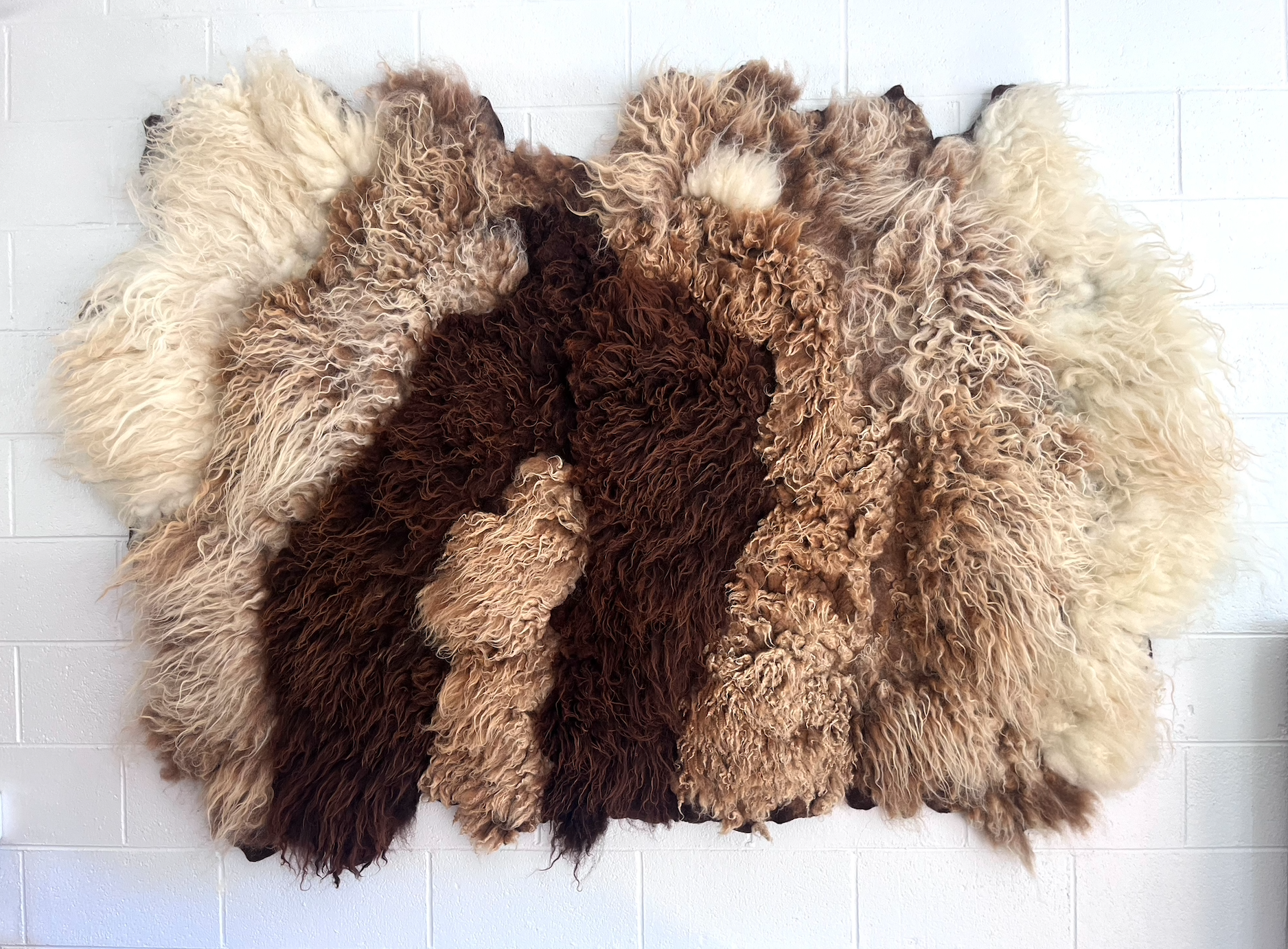 Screenshot 2026-01-17 at 3.26.33 PM.png