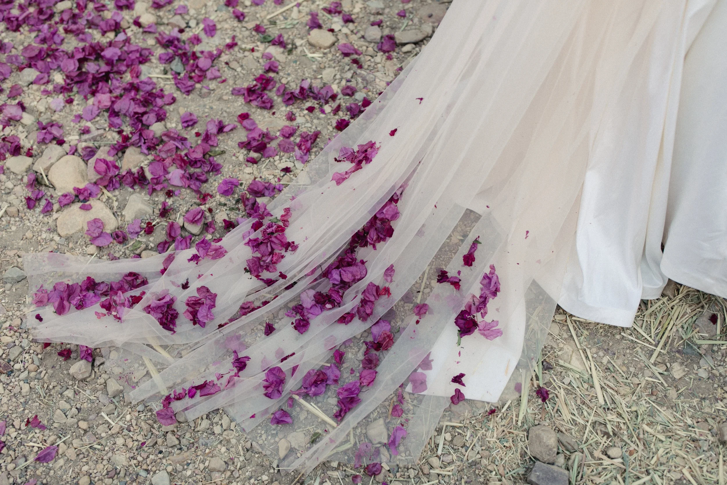 Olivia+Stefcaitlinfayphoto-372.jpg