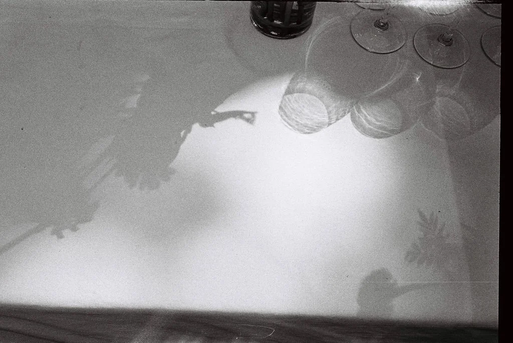 CaitlinfayphotographyAlexisandAntoine-2 (1).jpg
