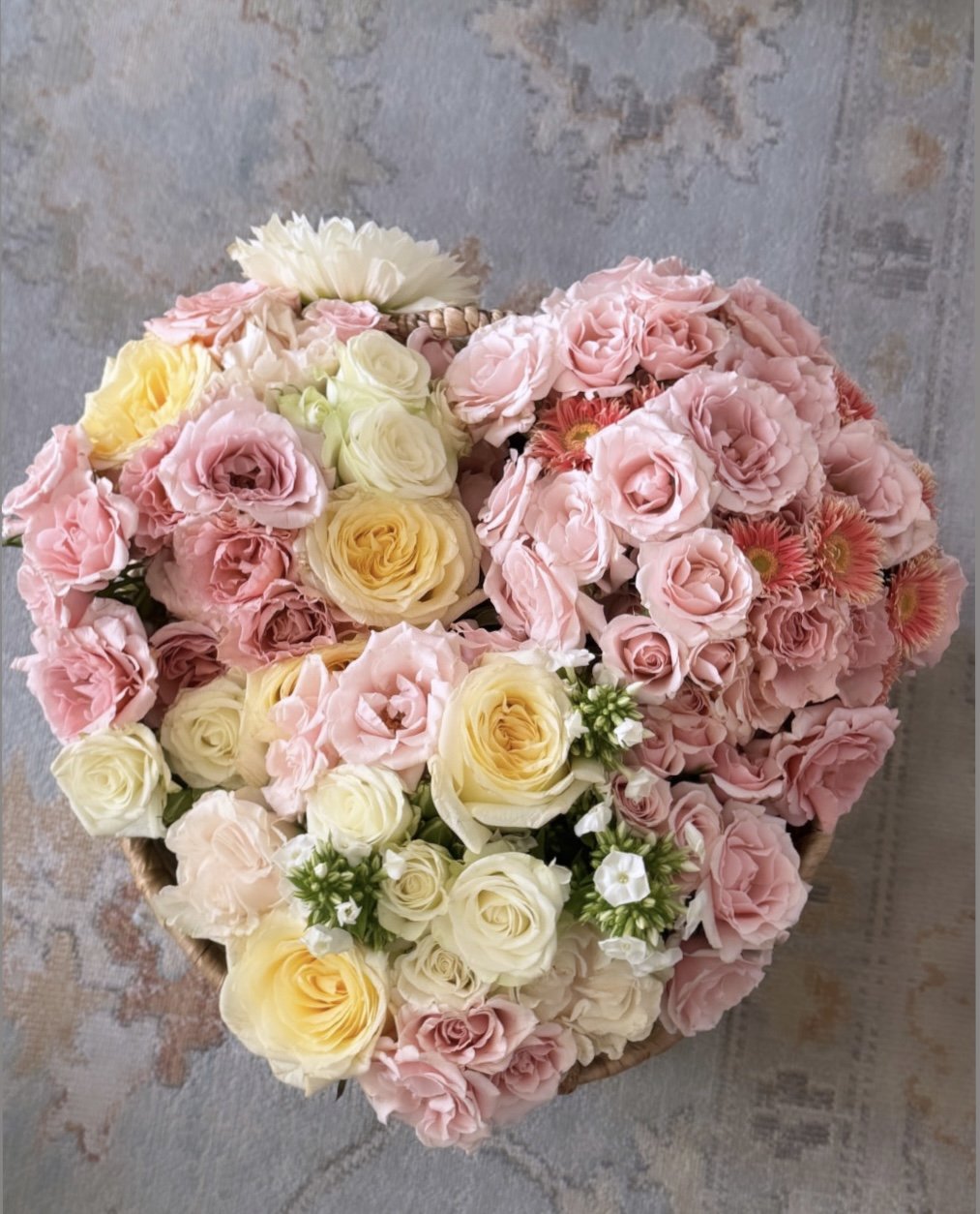 60C7E483-43B1-461D-B685-4411CFFE0A74 2.jpg