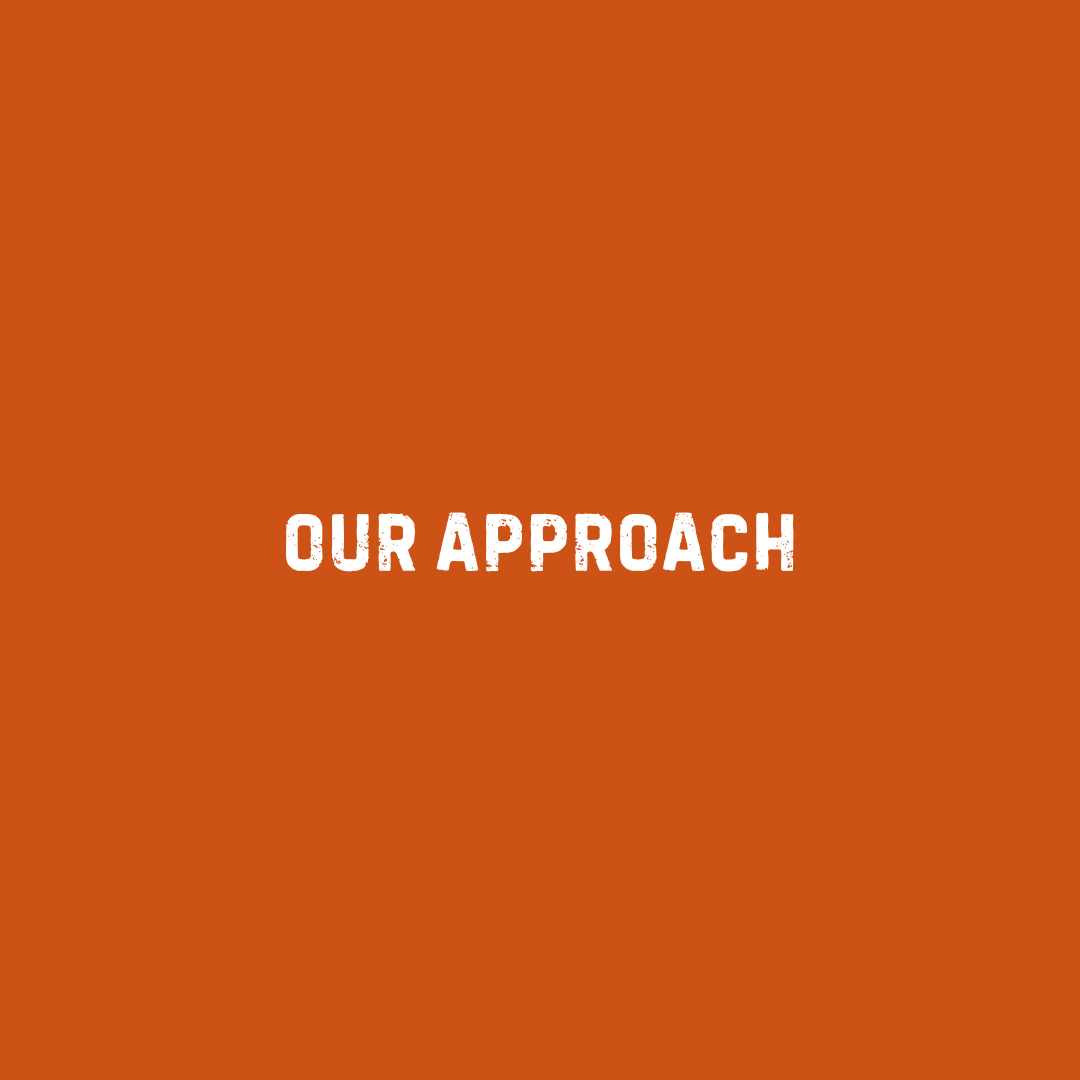 Our Approach.png
