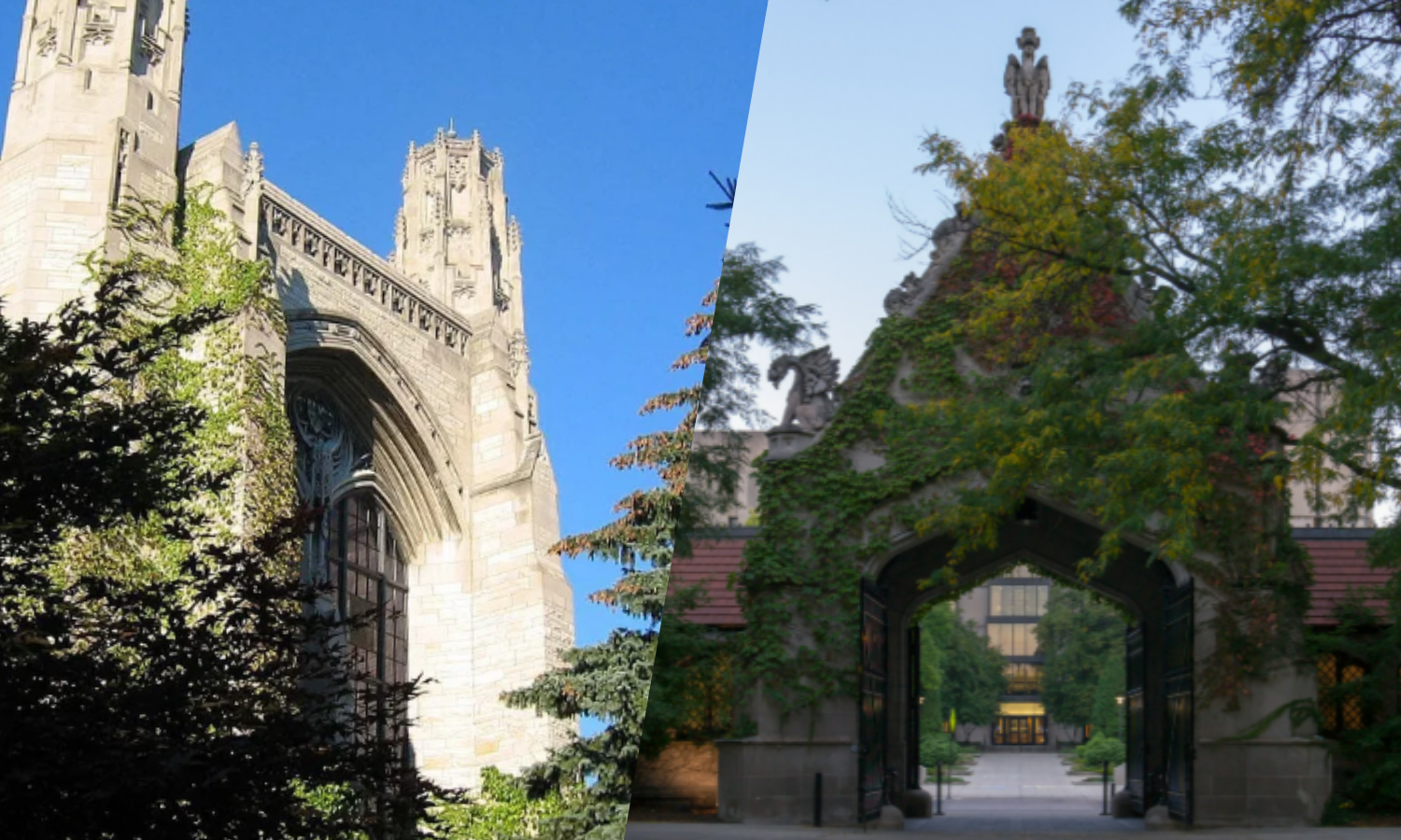 Campus Spotlights: Northwestern and UChicago