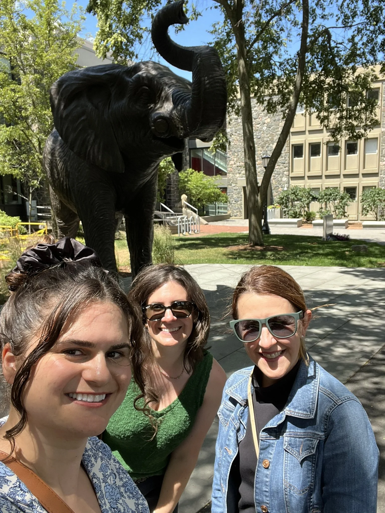 College Solutions team members Mattie Engel, Taylor Conti, and Terry Hurley-Maciulewicz with Tufts mascot, Jumbo