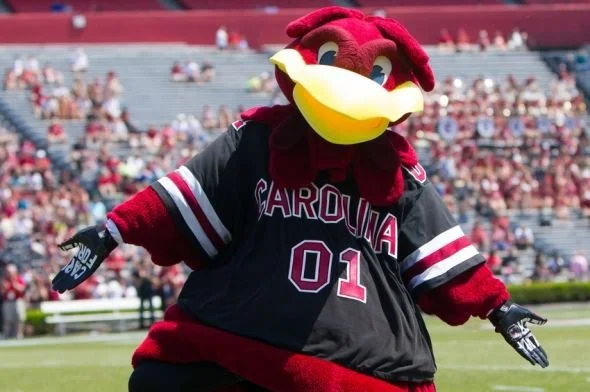 USC’s mascot is a gamecock (fighting rooster) named Cocky (image copyright Jus1033 @ https://en.wikipedia.org/wiki/Cocky_%28mascot%29#/media/File:Cockyspringgame.jpghttps://en.wikipedia.org/wiki/Cocky_%28mascot%29#/media/File:Cockyspringgame.jpg).