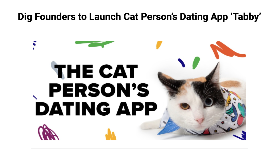 Cat person dating