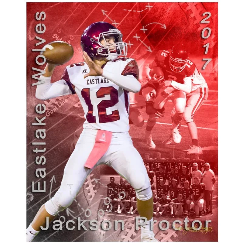 12 x 18 Printed Poster - Collage Created from Live Game Day Photos