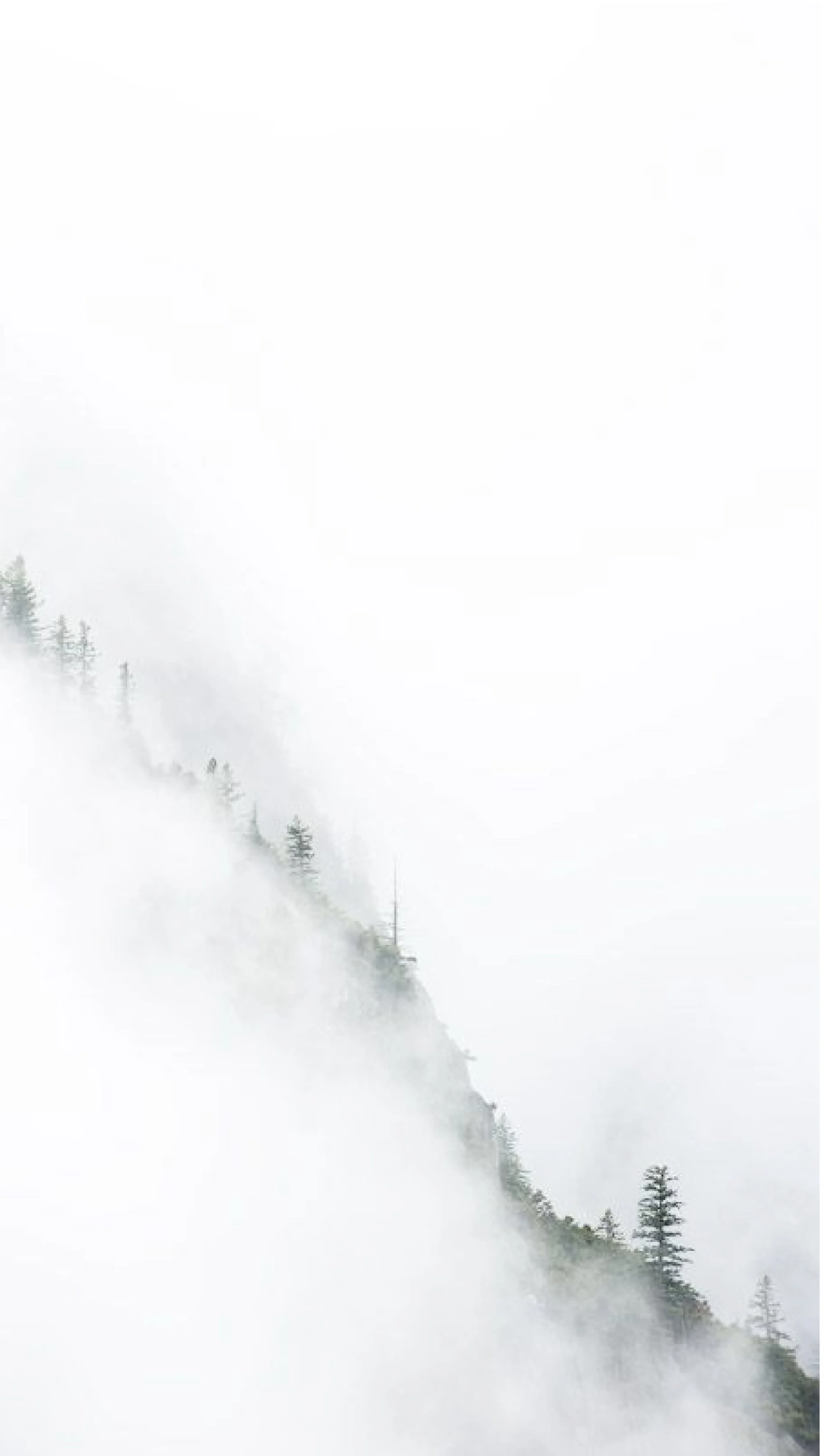 Enjoy The Silence - Stille Nächte Retreat 