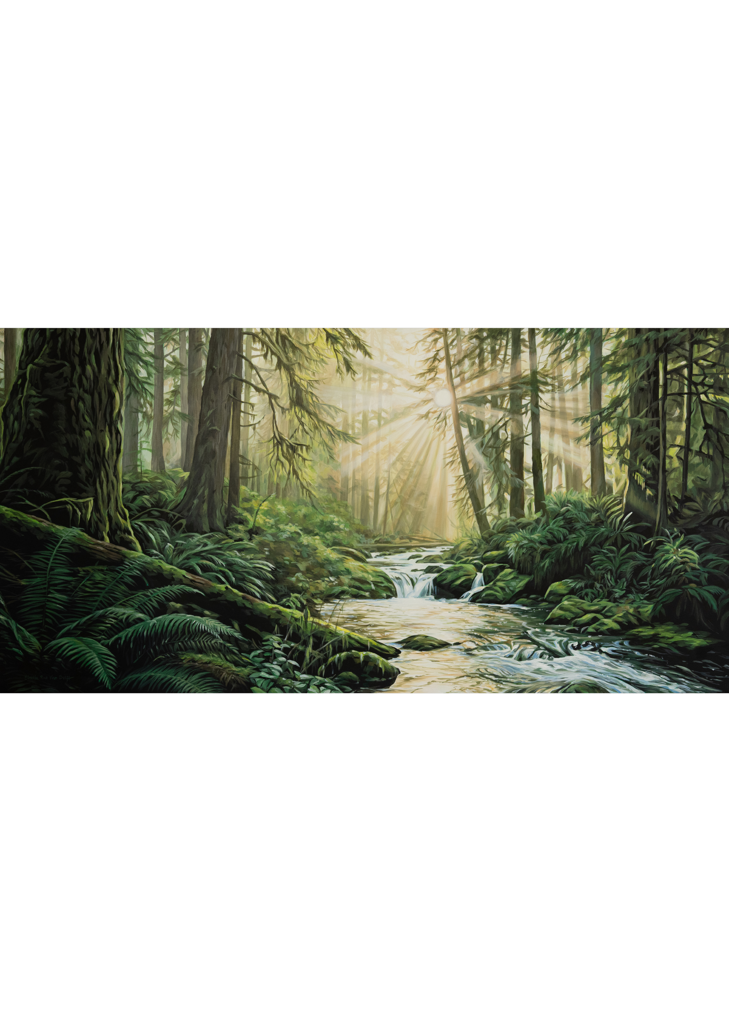 Zac original light on stream.png