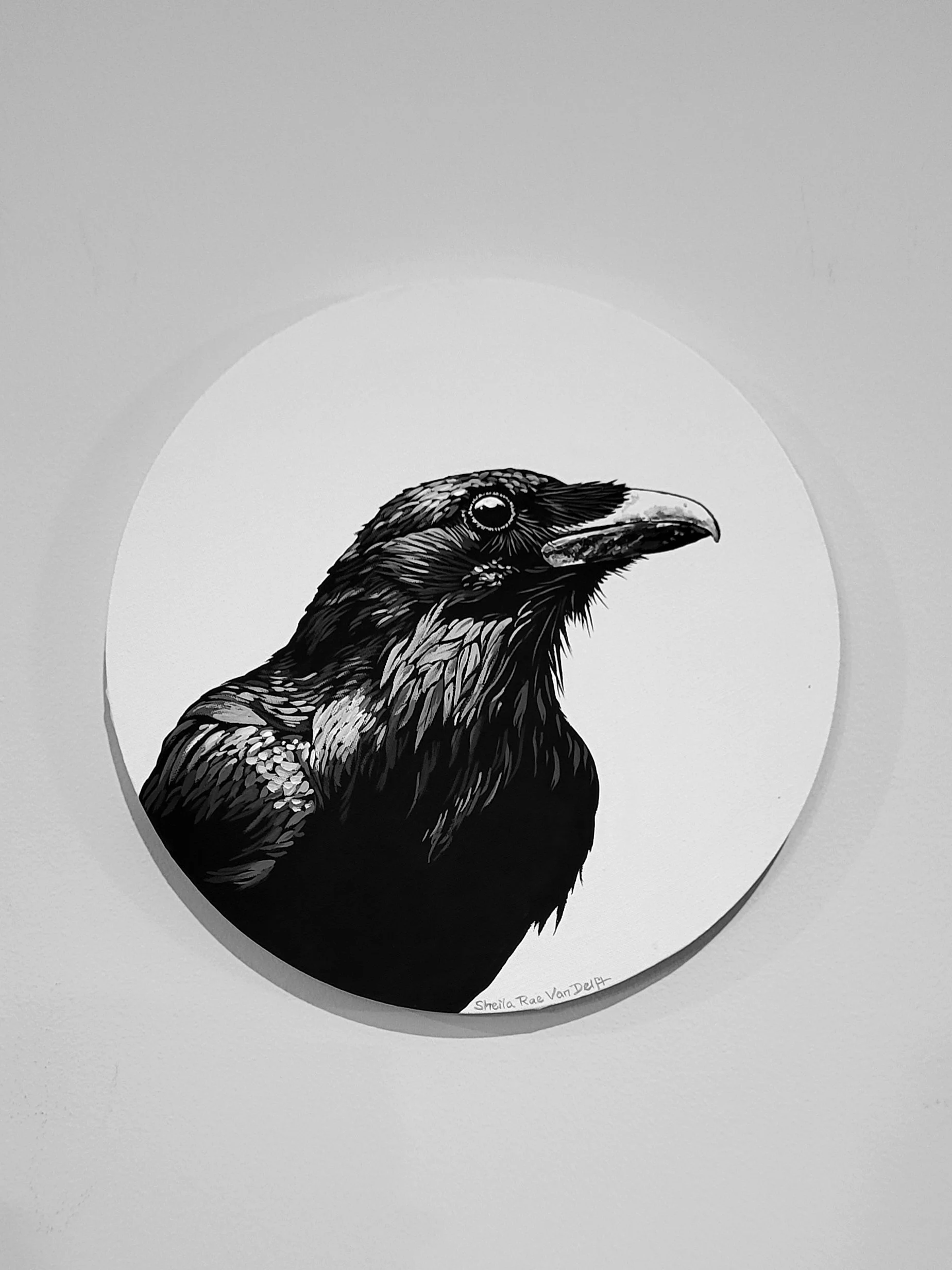 The Watchful Eye 12 inch round at Lotsa Art Gallery