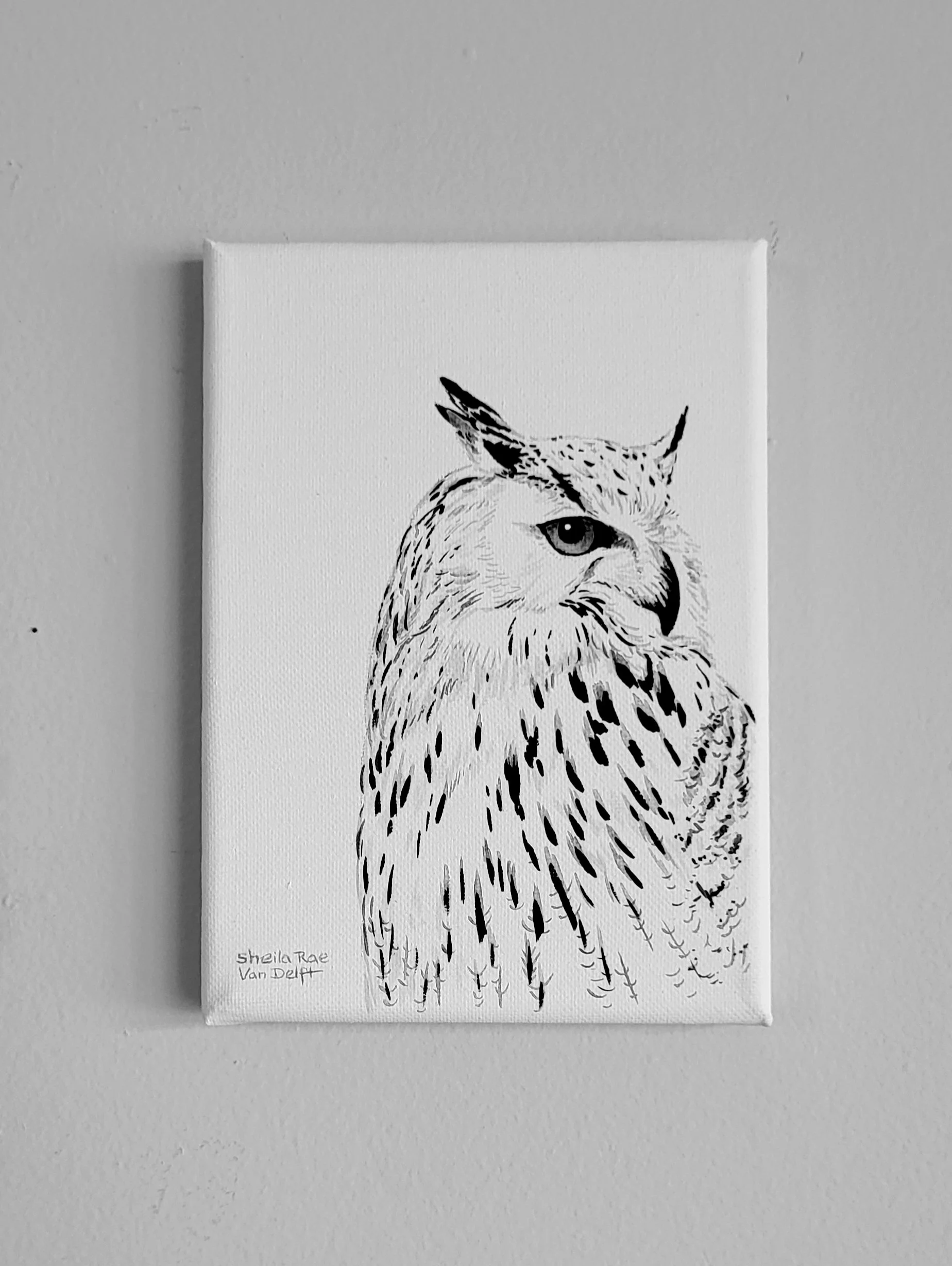 White Owl 5x7