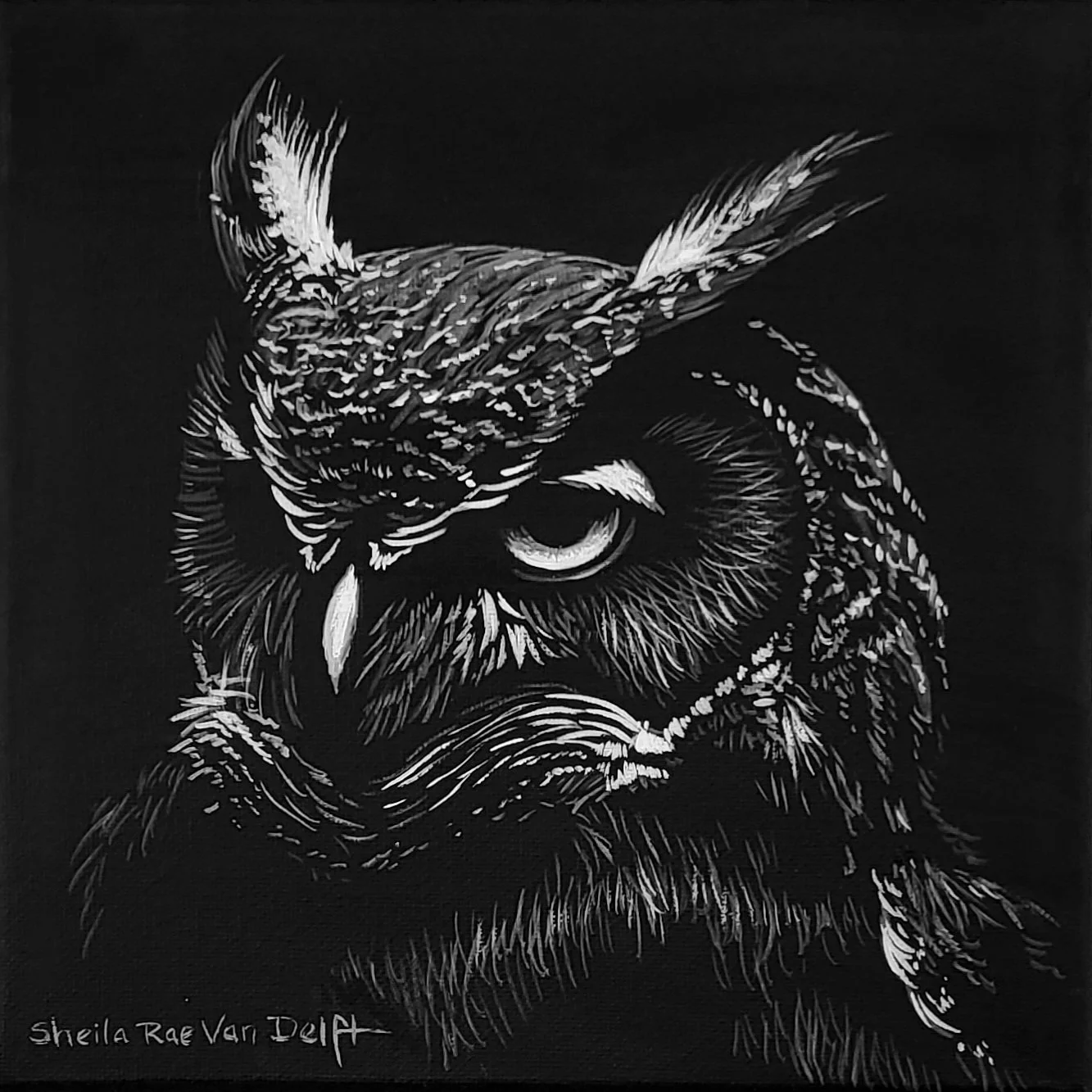 Dark Owl 8x8