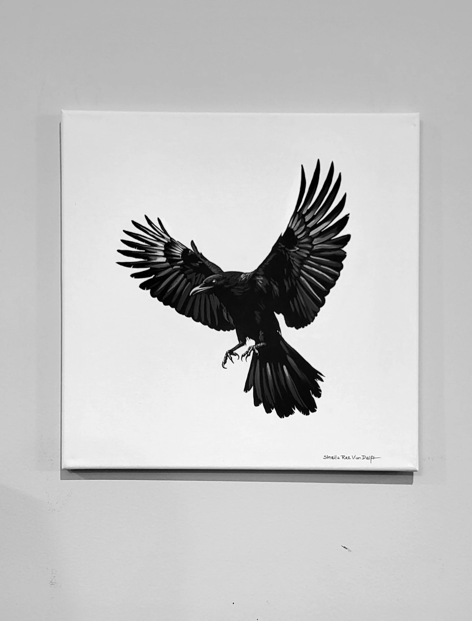 Shadow Flight 14x14 at Lotsa Art Gallery