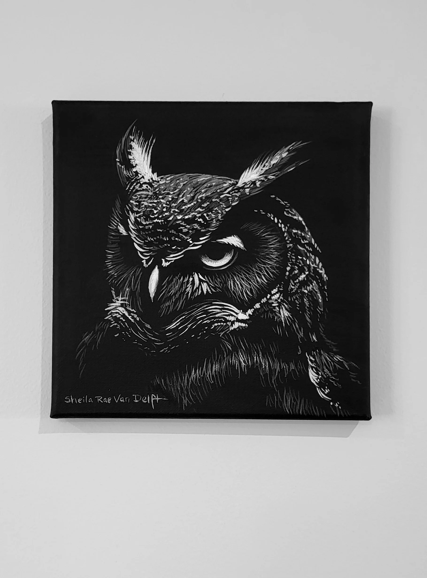 Dark Owl 8x8