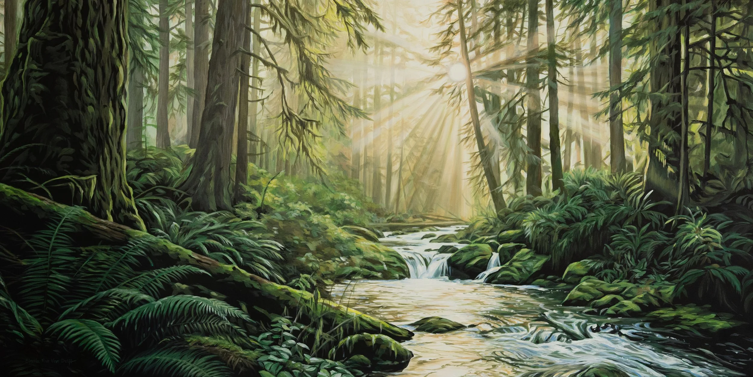 Zac original light on stream.jpg