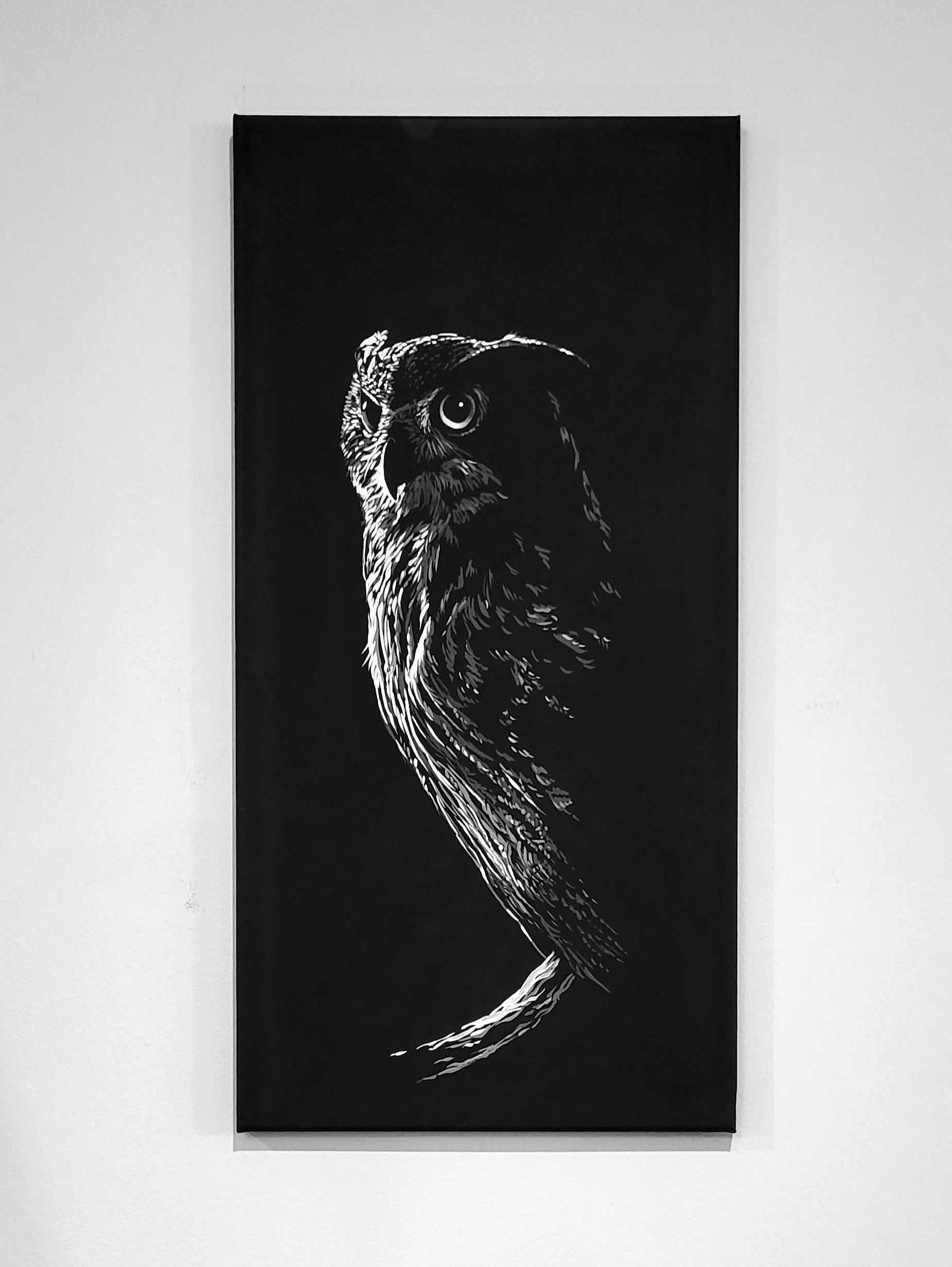 Owl 24x12 at Lotsa Art Gallery