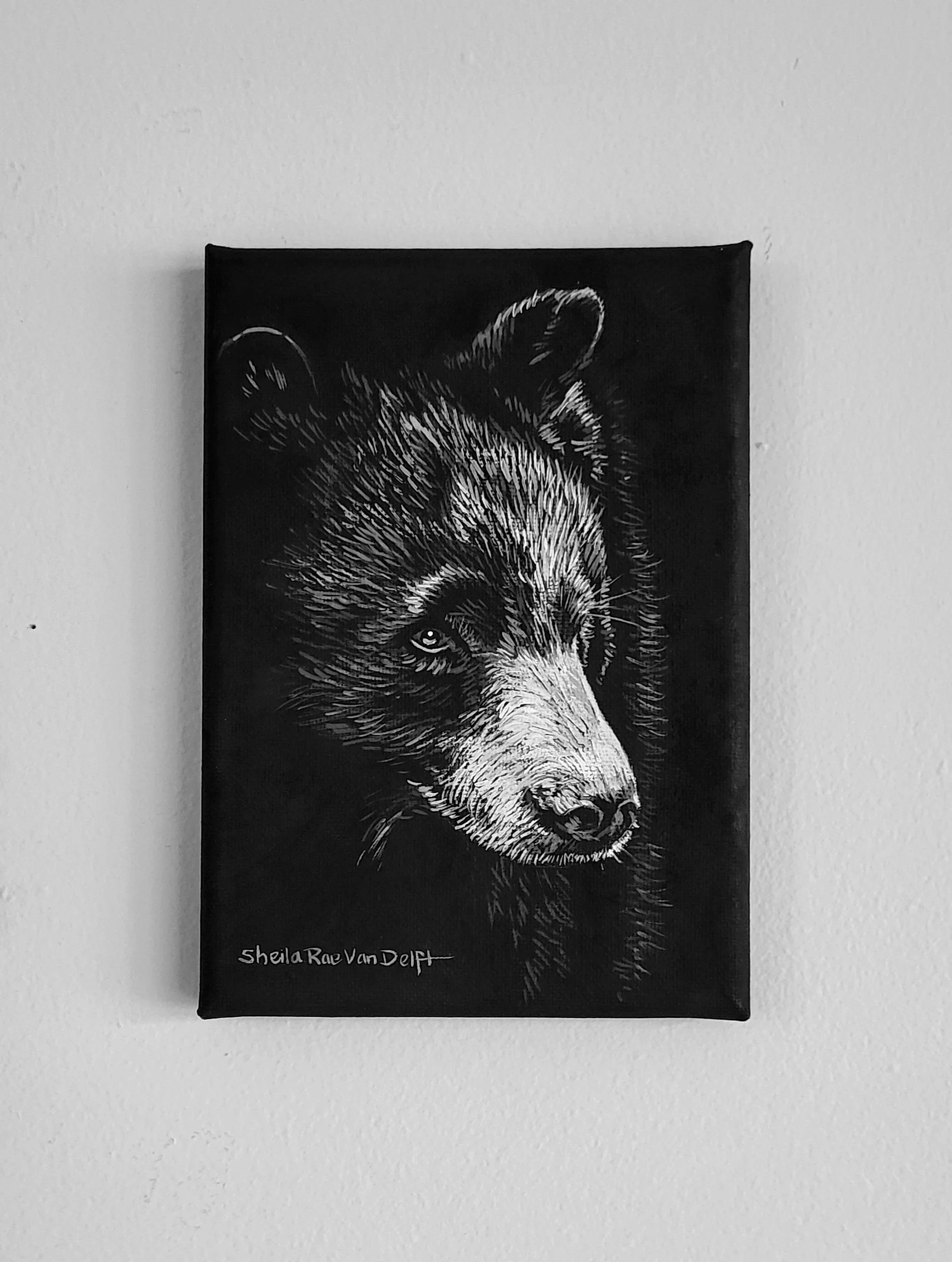 Bear 5x7
