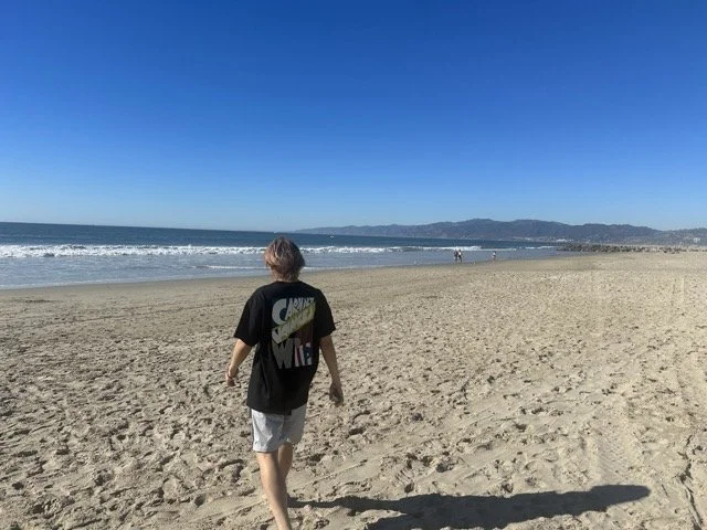 Person walking on a sandy beach with ocean waves and distant mountains under a clear blue sky.