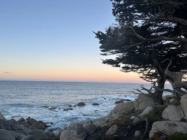 Coastal scene at sunset with ocean waves, rocky shoreline, and silhouetted trees.