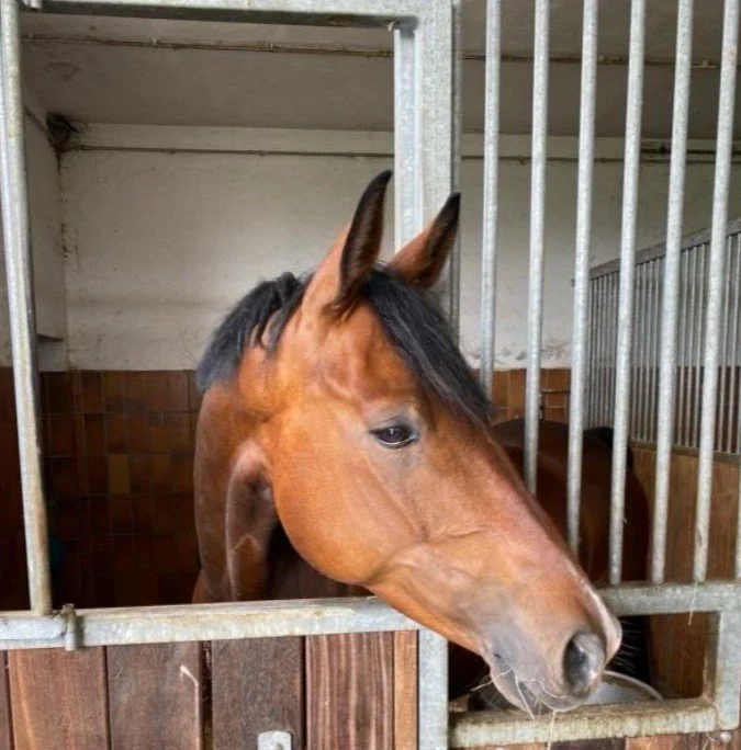 Screenshot 2026-01-22 093927.jpg